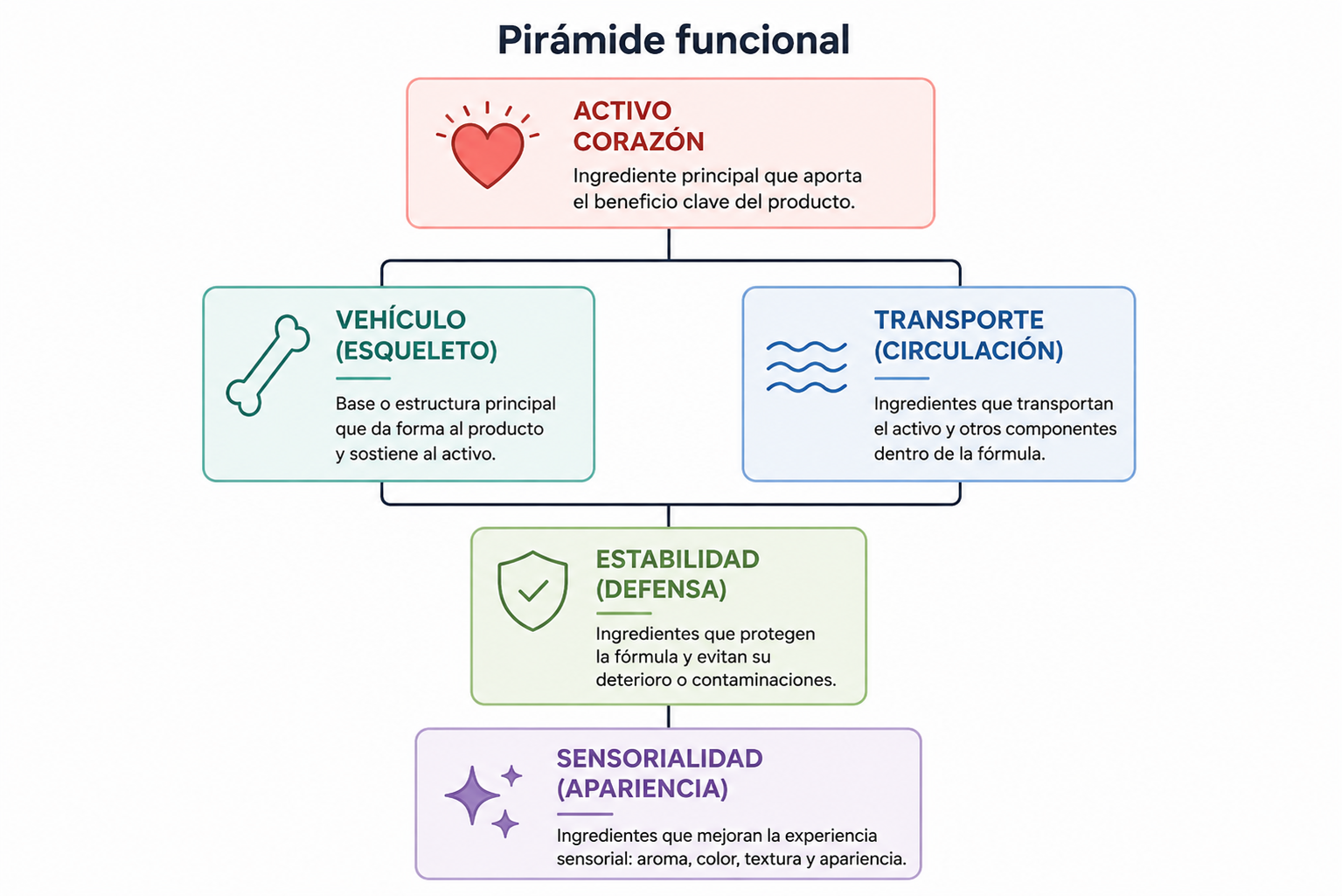 Imagen 03.3 Cuerpo funcional de la fórmula
