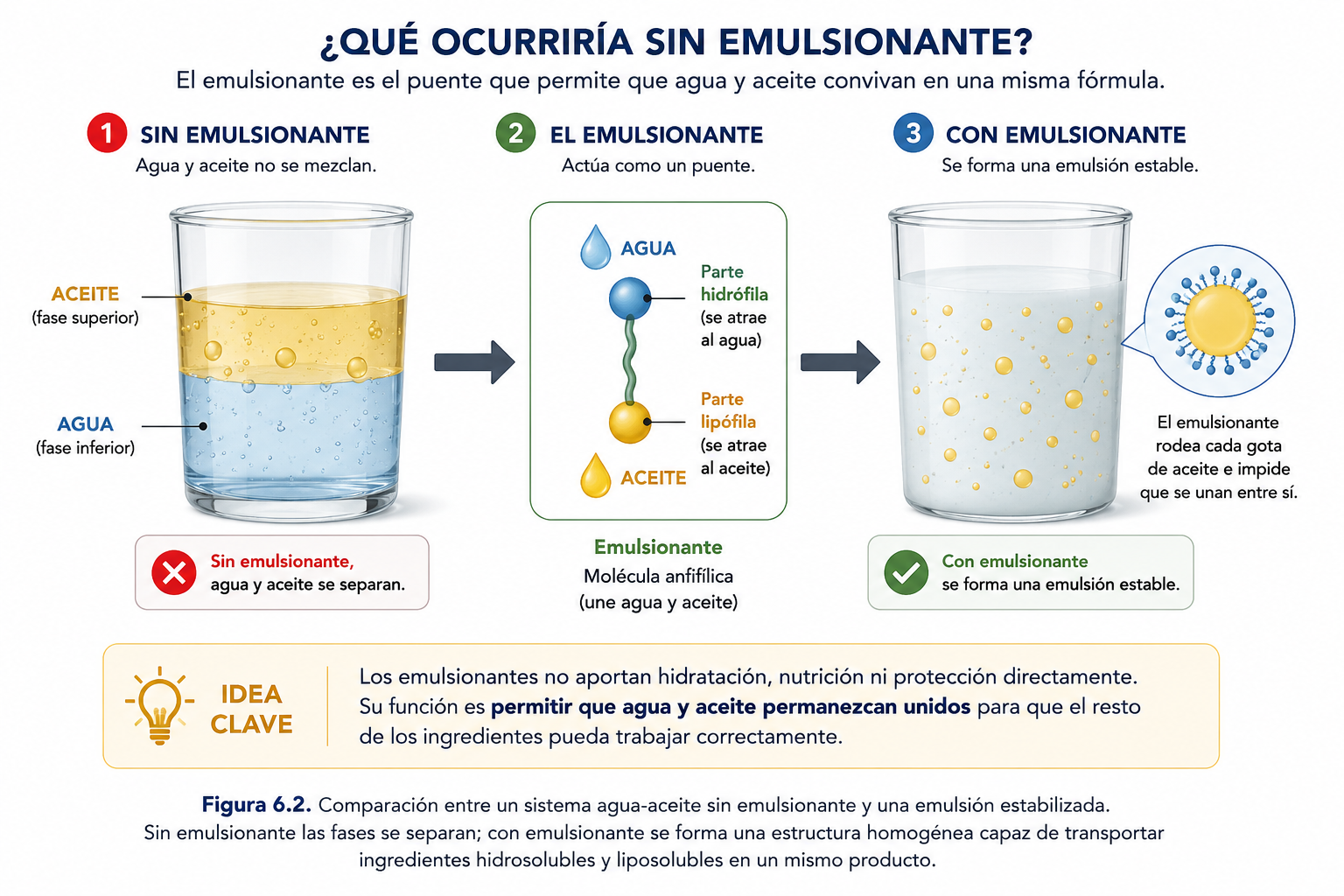 Imagen 6.2. ¿Qué ocurriría sin emulsionante