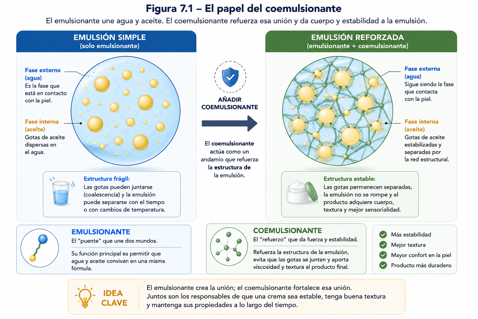 Imagen 7.1 El papel del coemulsionante