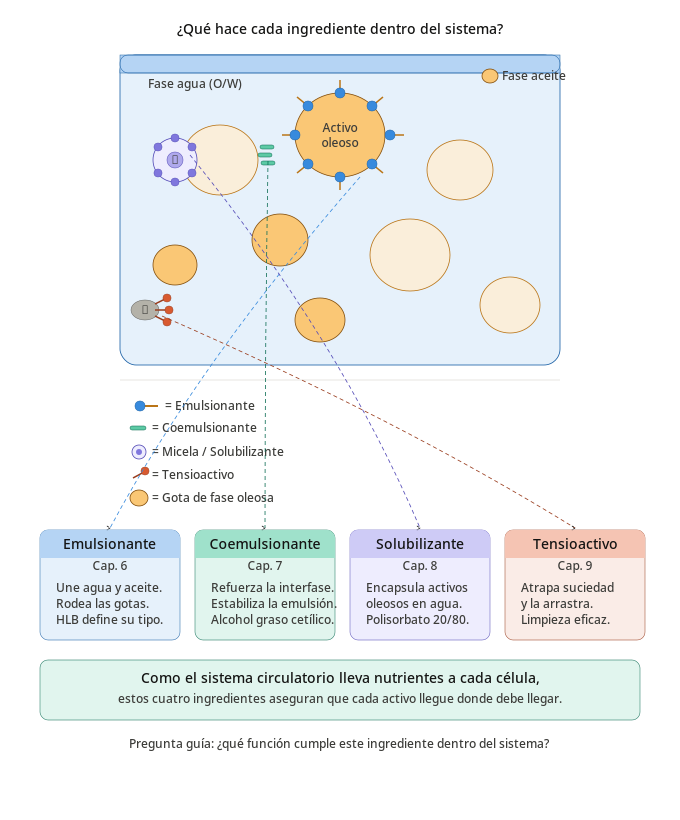 Imagen 9.1 Sistema Transporte Dermocosmetica